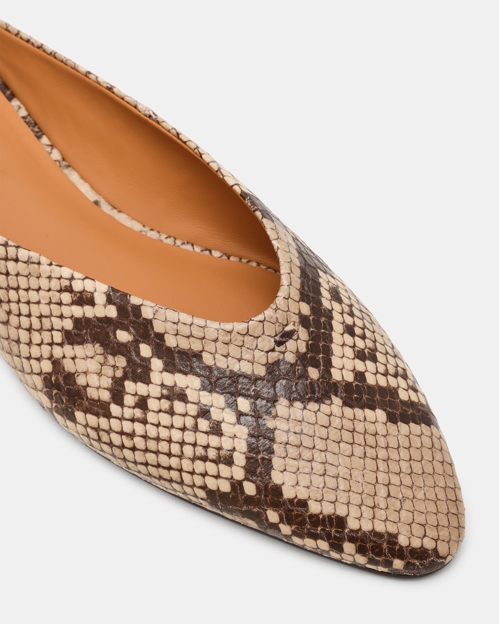STEVEMADDEN_SHOES44442.jpg