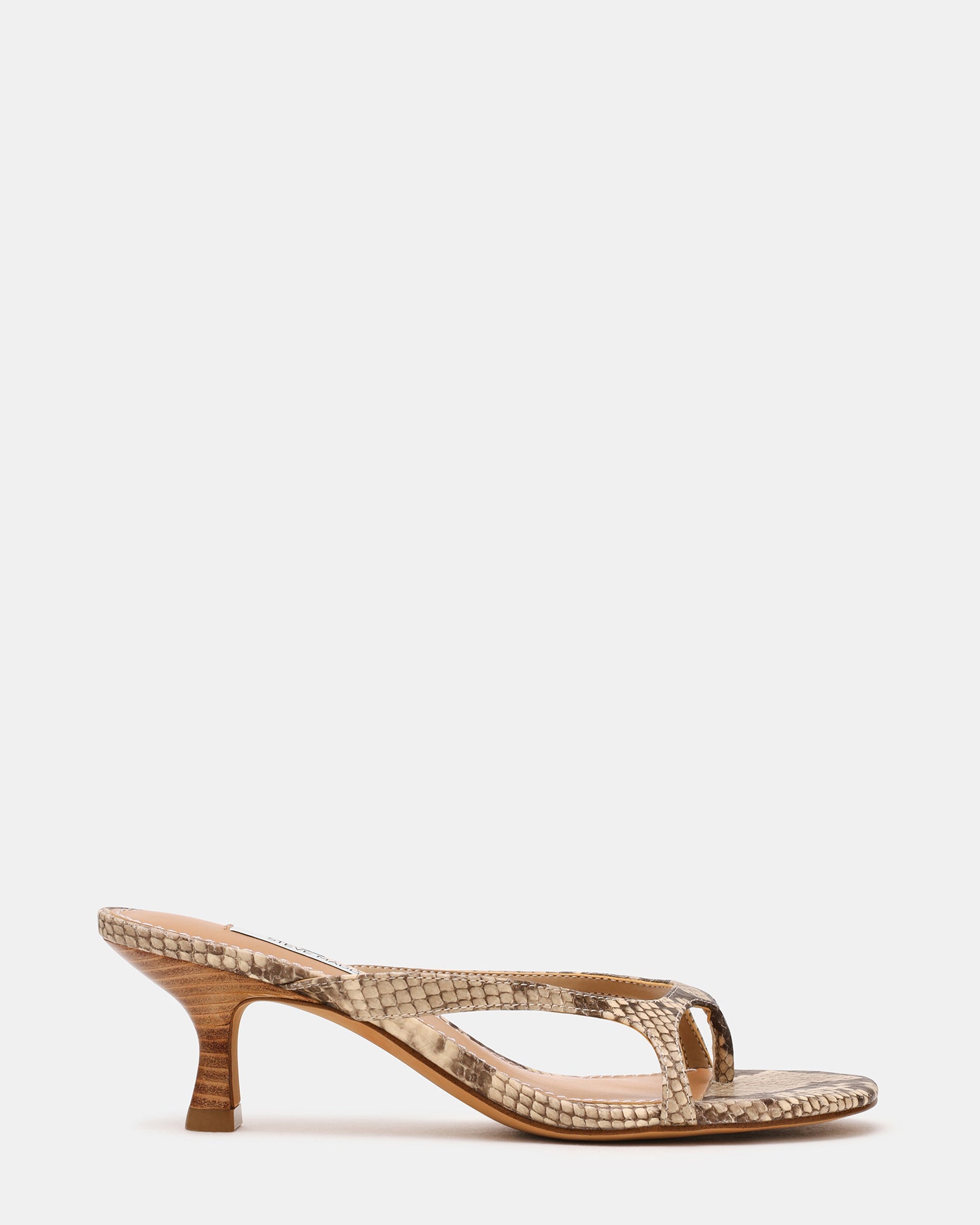 STEVEMADDEN_SHOES_BRIENNA_MULTI-SNAKE01.jpg