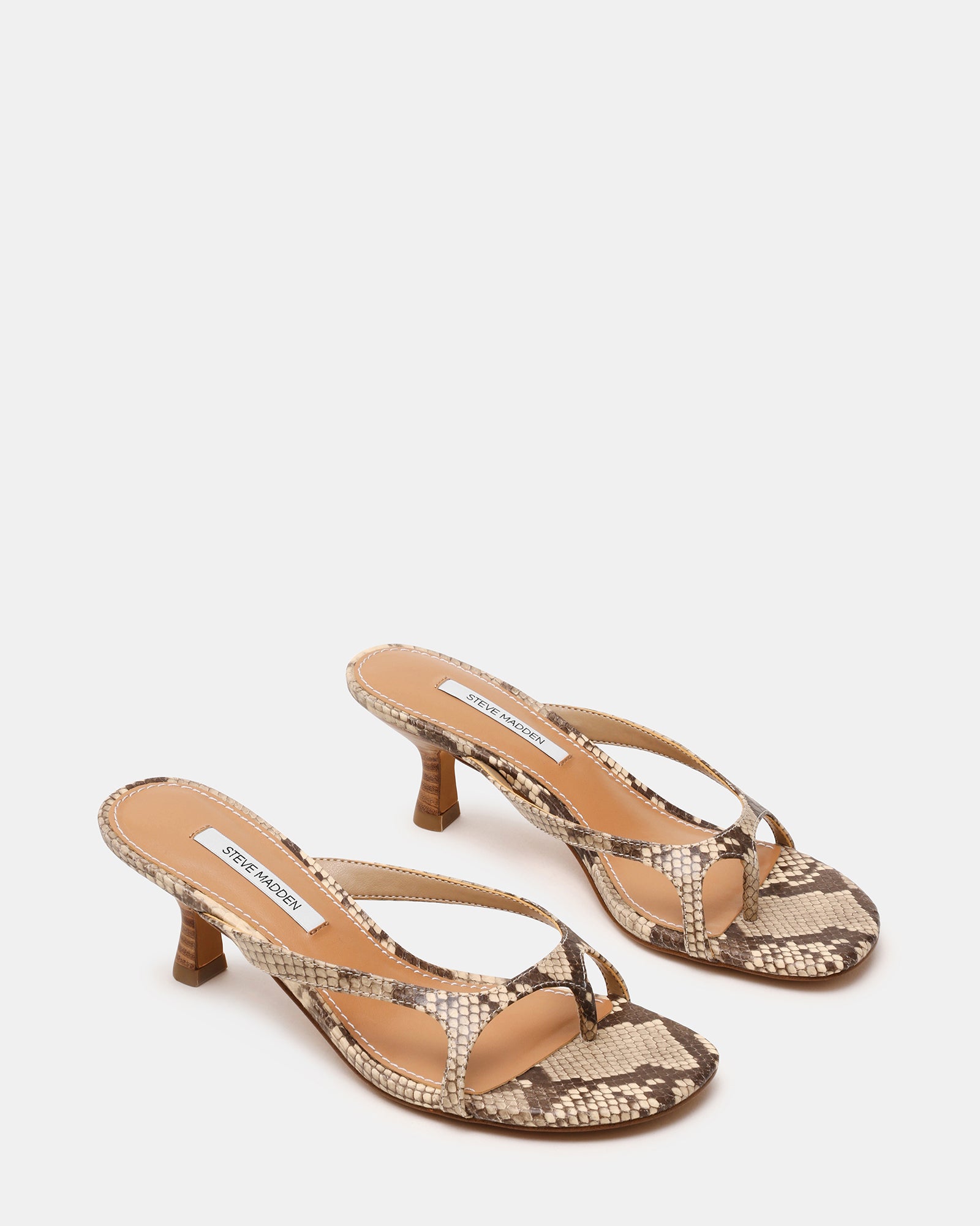 STEVEMADDEN_SHOES_BRIENNA_MULTI-SNAKE02.jpg