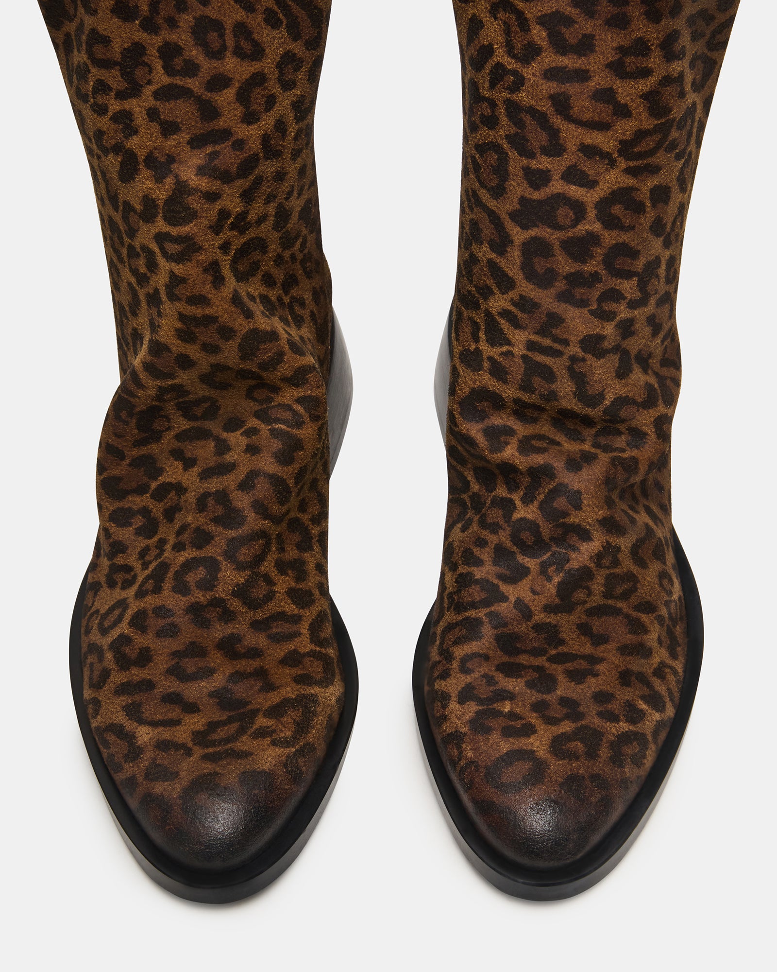 STEVEMADDEN_SHOES_NEXIE_LEOPARD_03.jpg