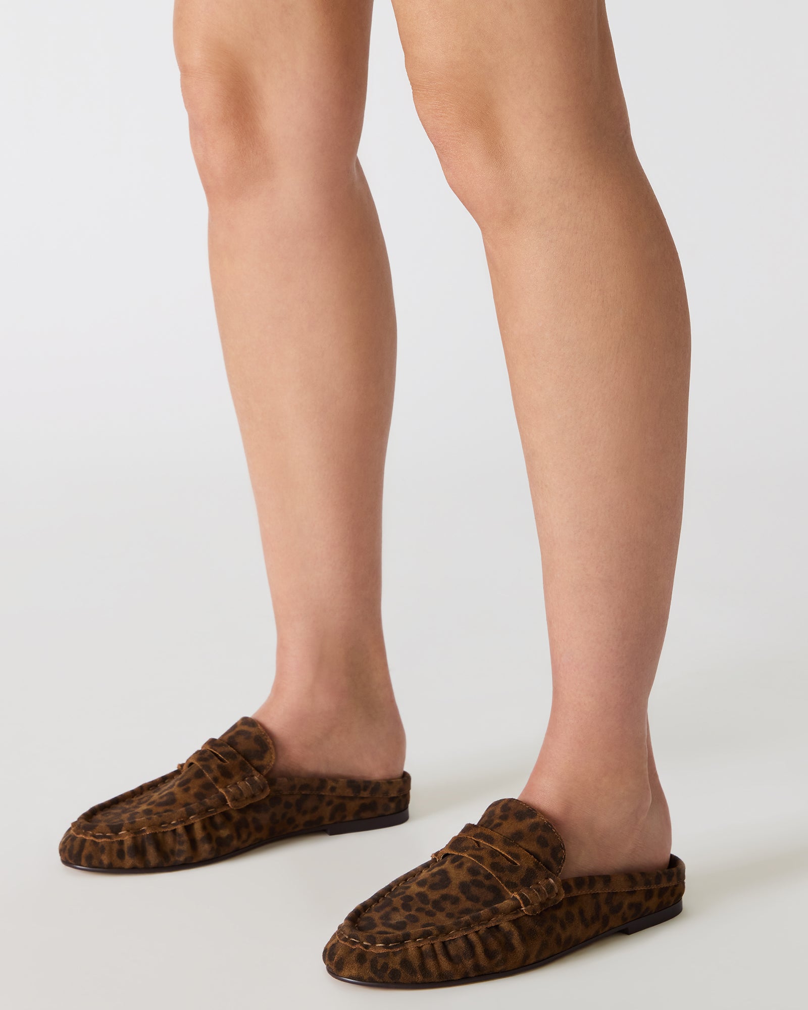 STEVEMADDEN_SHOES_RAFE_LEOPARD-SUEDE_0112.jpg