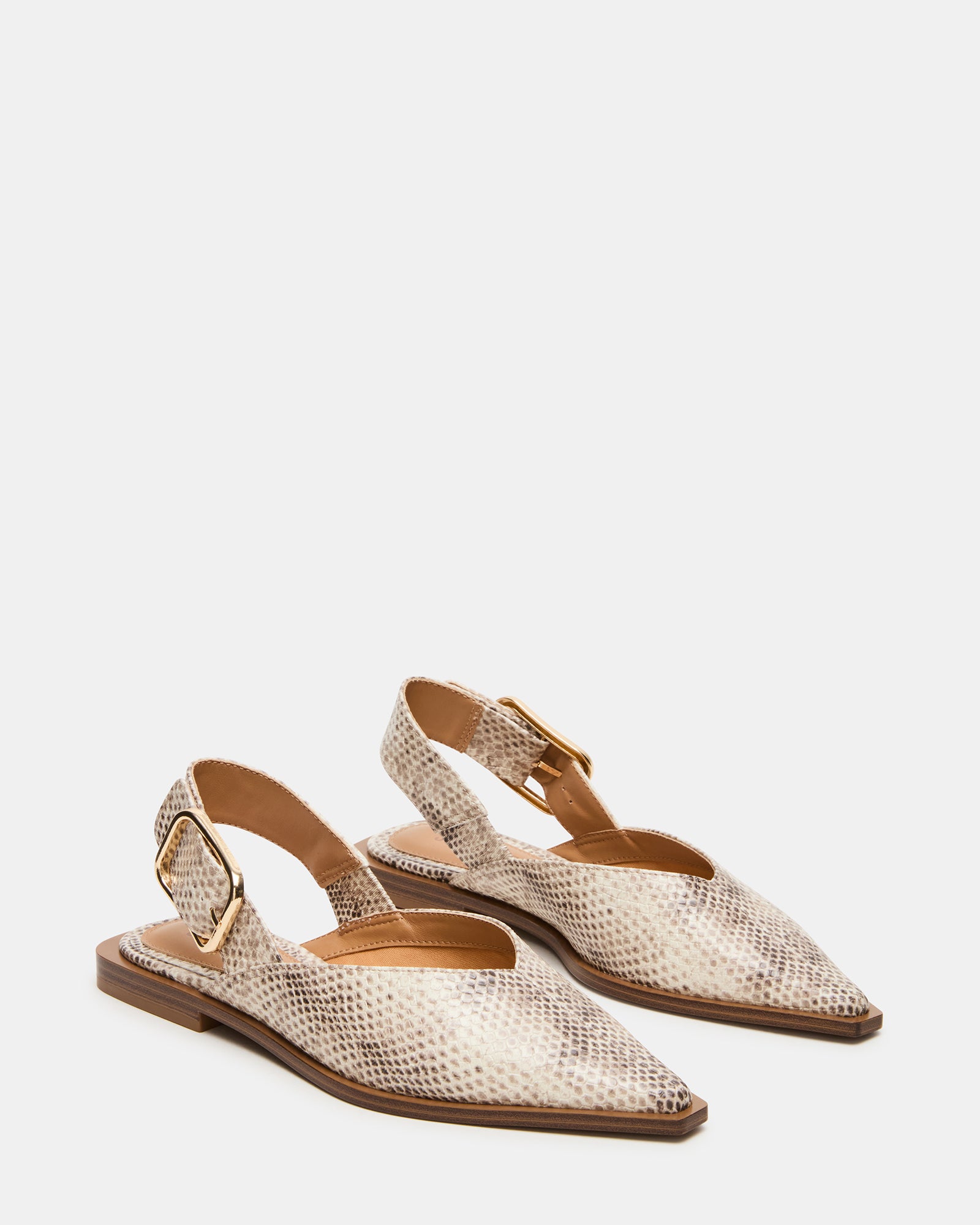 STEVEMADDEN_SHOES_SHAY_SNAKE_01.jpg