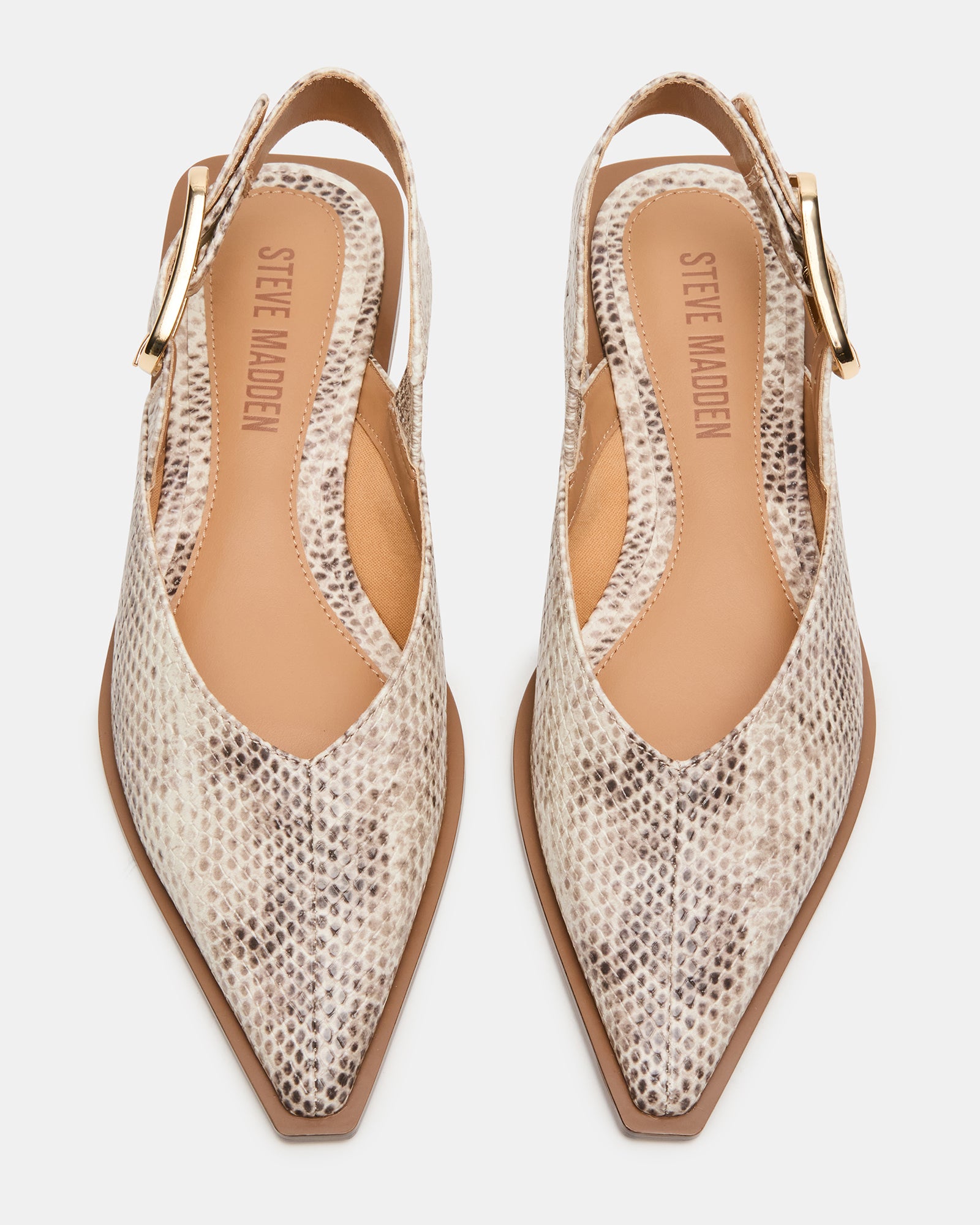 STEVEMADDEN_SHOES_SHAY_SNAKE_03.jpg