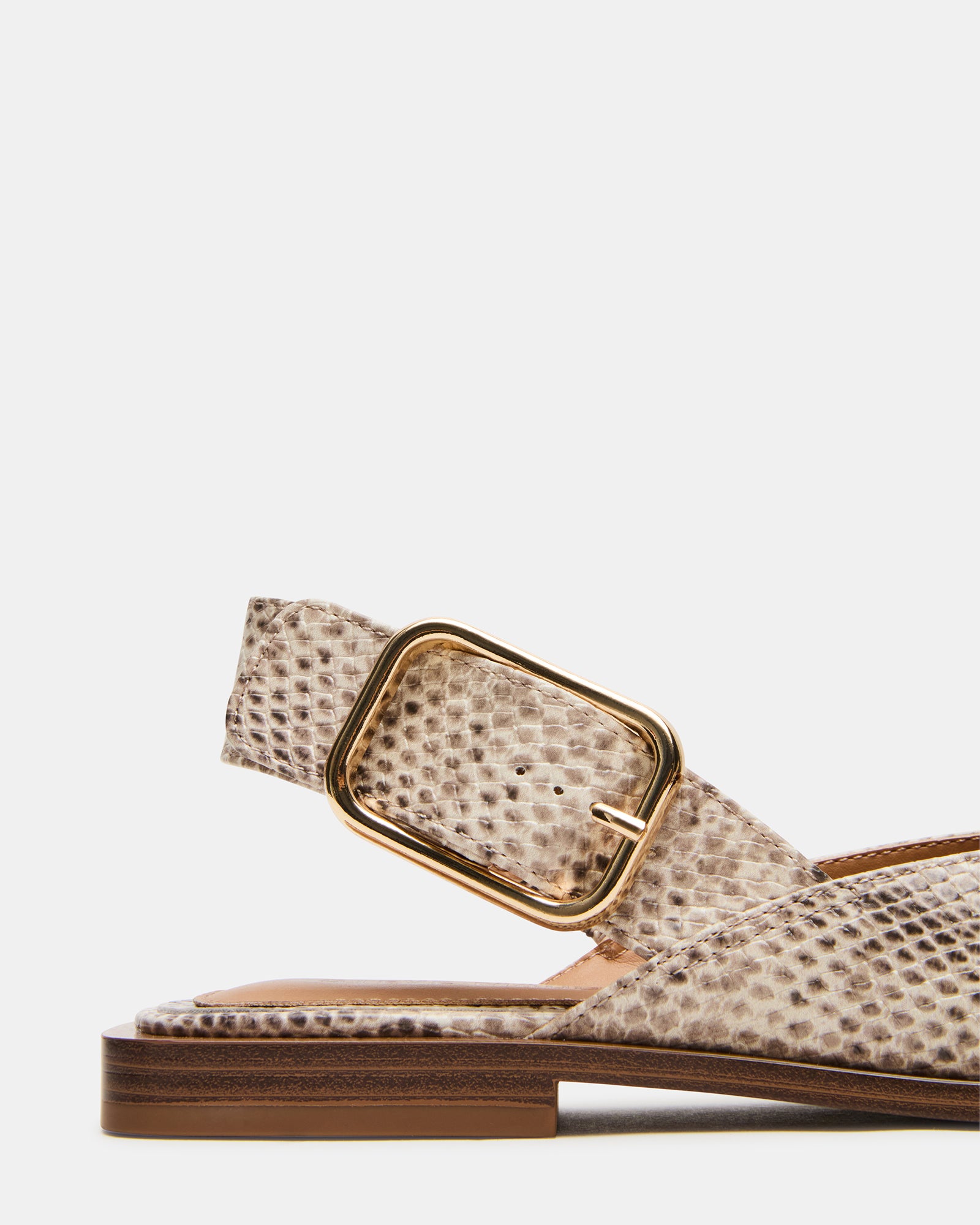 STEVEMADDEN_SHOES_SHAY_SNAKE_04.jpg