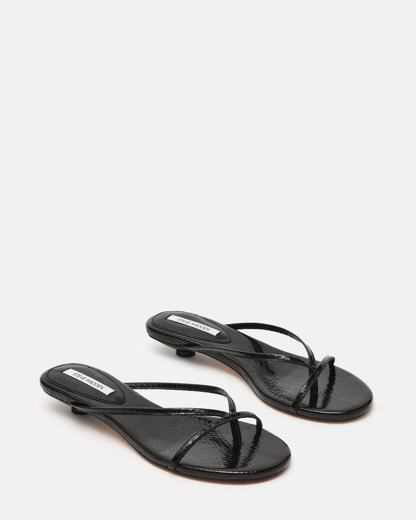STEVEMADDEN_SHOES_TERRY_BLACK02.jpg