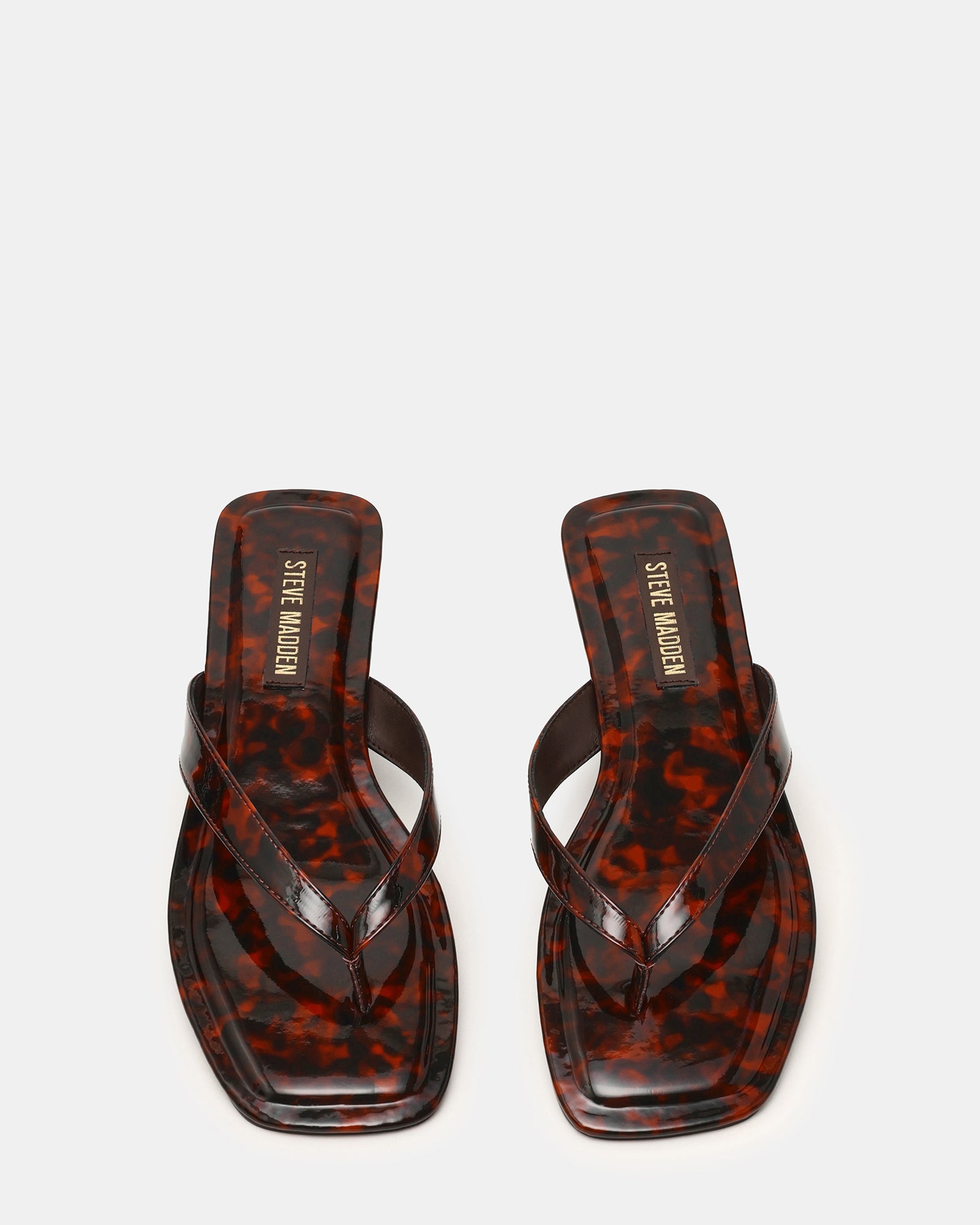 STEVEMADDEN_SHOES_TRELLA_TORTOISE04.jpg